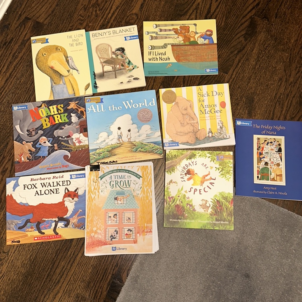 PJ LIBRARY BUNDLE OF JEWISH BOOKS FOR TODDLERS AND PRE-TEENS - NEW CONDITION